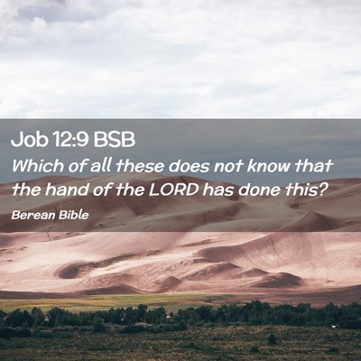 Picture 02 - Job 12:9 BSB - Which of all these does not know that the hand of - Bible Verse Picture