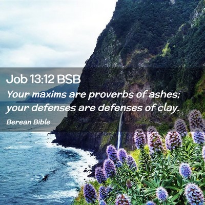 Picture 02 - Job 13:12 BSB - Your maxims are proverbs of ashes; your defenses - Bible Verse Picture