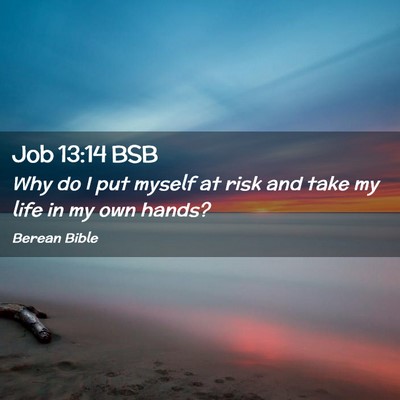 Picture 02 - Job 13:14 BSB - Why do I put myself at risk and take my life in - Bible Verse Picture