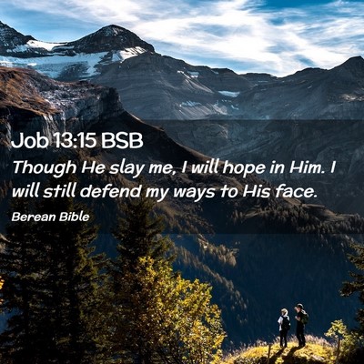 Picture 02 - Job 13:15 BSB - Though He slay me, I will hope in Him. I will - Bible Verse Picture