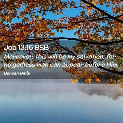 Picture 02 - Job 13:16 BSB - Moreover, this will be my salvation, for no - Bible Verse Picture