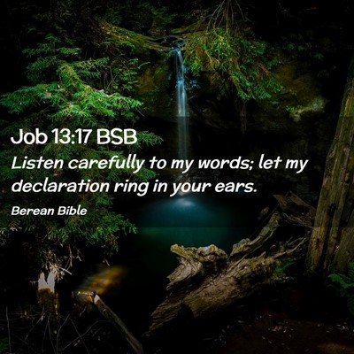 Picture 02 - Job 13:17 BSB - Listen carefully to my words; let my declaration - Bible Verse Picture