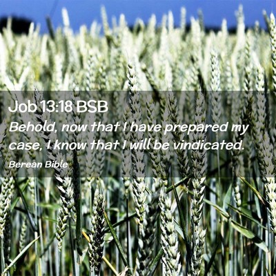 Picture 02 - Job 13:18 BSB - Behold, now that I have prepared my case, I know - Bible Verse Picture