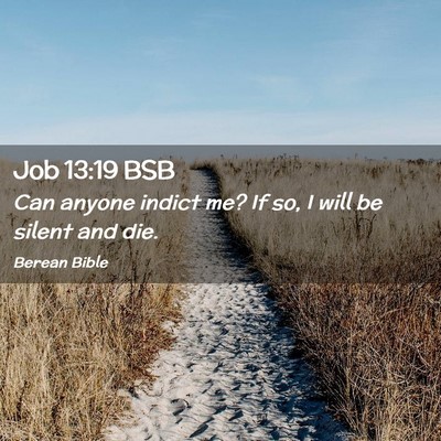 Picture 02 - Job 13:19 BSB - Can anyone indict me? If so, I will be silent and - Bible Verse Picture