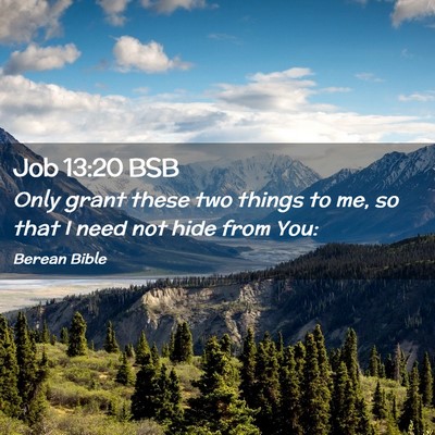 Picture 02 - Job 13:20 BSB - Only grant these two things to me, so that I need - Bible Verse Picture