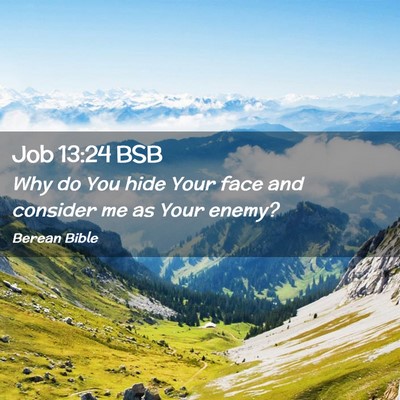 Picture 02 - Job 13:24 BSB - Why do You hide Your face and consider me as Your - Bible Verse Picture