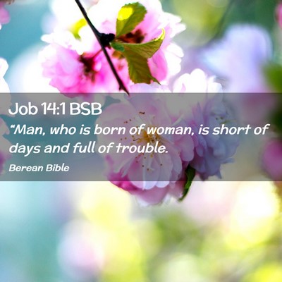 Picture 02 - Job 14:1 BSB - “Man, who is born of woman, is short of days - Bible Verse Picture