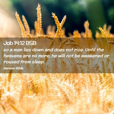 Picture 02 - Job 14:12 BSB - so a man lies down and does not rise. Until the - Bible Verse Picture