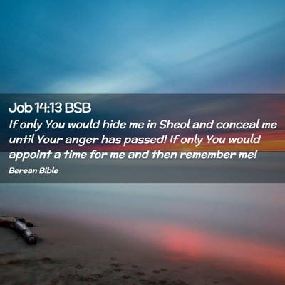 Picture 02 - Job 14:13 BSB - If only You would hide me in Sheol and conceal me - Bible Verse Picture