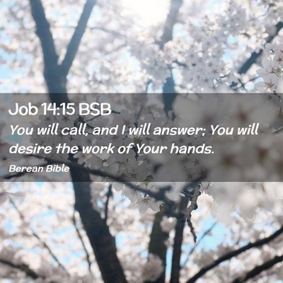 Picture 02 - Job 14:15 BSB - You will call, and I will answer; You will desire - Bible Verse Picture