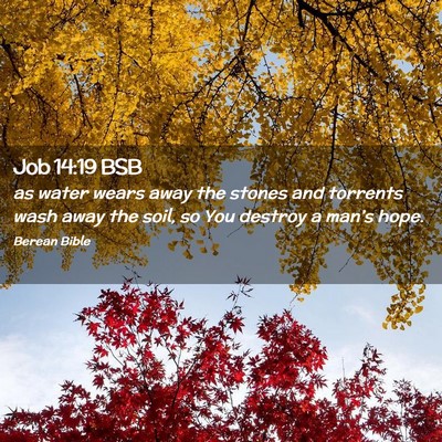 Picture 02 - Job 14:19 BSB - as water wears away the stones and torrents wash - Bible Verse Picture