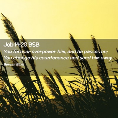 Picture 02 - Job 14:20 BSB - You forever overpower him, and he passes on; You - Bible Verse Picture