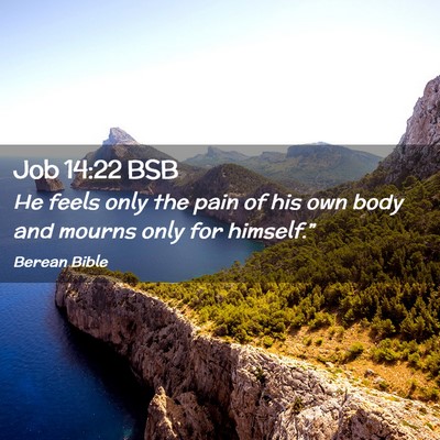 Picture 02 - Job 14:22 BSB - He feels only the pain of his own body and mourns - Bible Verse Picture