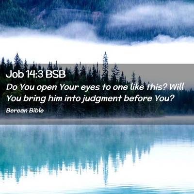 Picture 02 - Job 14:3 BSB - Do You open Your eyes to one like this? Will You - Bible Verse Picture