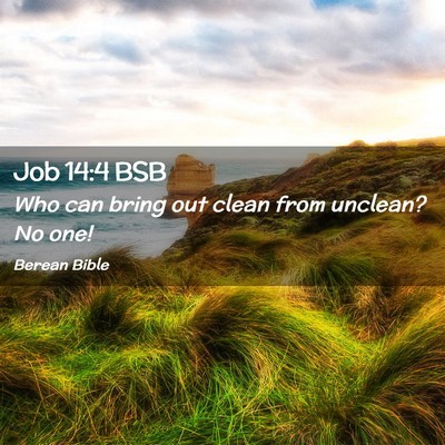 Picture 02 - Job 14:4 BSB - Who can bring out clean from unclean? No - Bible Verse Picture