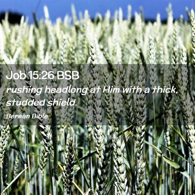 Picture 02 - Job 15:26 BSB - rushing headlong at Him with a thick, studded - Bible Verse Picture
