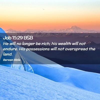 Picture 02 - Job 15:29 BSB - He will no longer be rich; his wealth will not - Bible Verse Picture