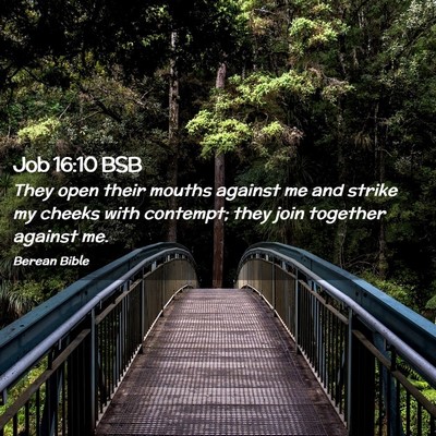 Picture 02 - Job 16:10 BSB - They open their mouths against me and strike my - Bible Verse Picture