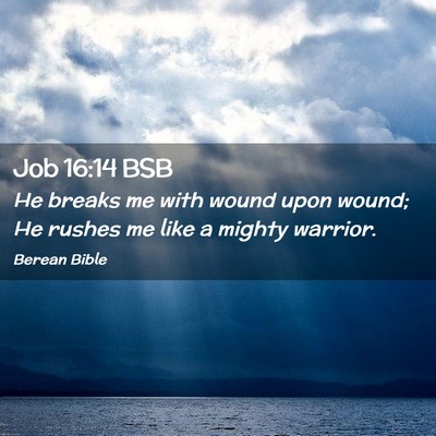 Picture 02 - Job 16:14 BSB - He breaks me with wound upon wound; He rushes me - Bible Verse Picture