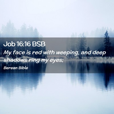Picture 02 - Job 16:16 BSB - My face is red with weeping, and deep shadows - Bible Verse Picture
