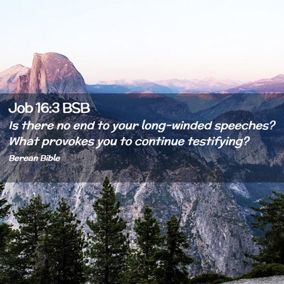 Picture 02 - Job 16:3 BSB - Is there no end to your long-winded speeches? - Bible Verse Picture