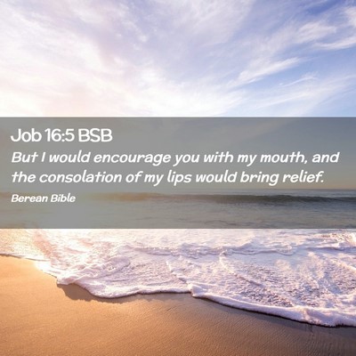 Picture 02 - Job 16:5 BSB - But I would encourage you with my mouth, and the - Bible Verse Picture