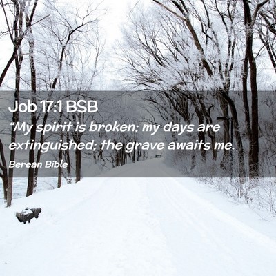 Picture 02 - Job 17:1 BSB - “My spirit is broken; my days are extinguished; - Bible Verse Picture