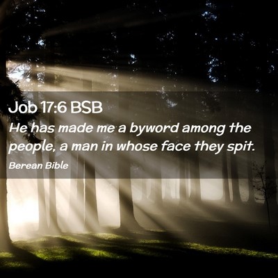 Picture 02 - Job 17:6 BSB - He has made me a byword among the people, a man - Bible Verse Picture