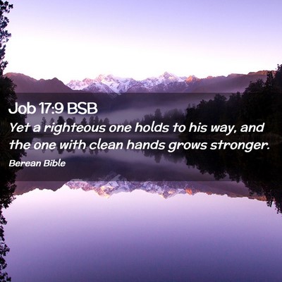 Picture 02 - Job 17:9 BSB - Yet a righteous one holds to his way, and the one - Bible Verse Picture