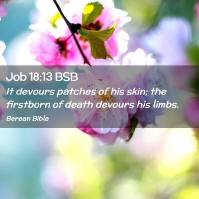 Picture 02 - Job 18:13 BSB - It devours patches of his skin; the firstborn of - Bible Verse Picture