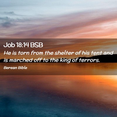 Picture 02 - Job 18:14 BSB - He is torn from the shelter of his tent and is - Bible Verse Picture