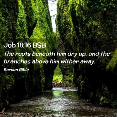 Picture 02 - Job 18:16 BSB - The roots beneath him dry up, and the branches - Bible Verse Picture