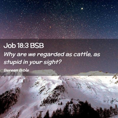 Picture 02 - Job 18:3 BSB - Why are we regarded as cattle, as stupid in your - Bible Verse Picture