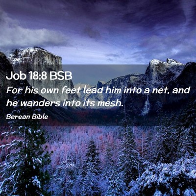 Picture 02 - Job 18:8 BSB - For his own feet lead him into a net, and he - Bible Verse Picture