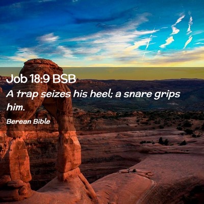 Picture 02 - Job 18:9 BSB - A trap seizes his heel; a snare grips - Bible Verse Picture