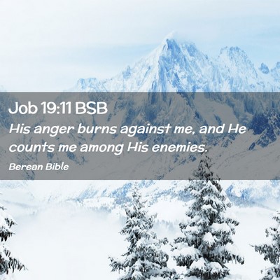 Picture 02 - Job 19:11 BSB - His anger burns against me, and He counts me - Bible Verse Picture