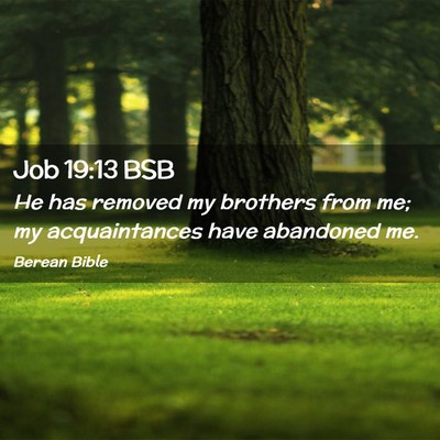 Picture 02 - Job 19:13 BSB - He has removed my brothers from me; my - Bible Verse Picture