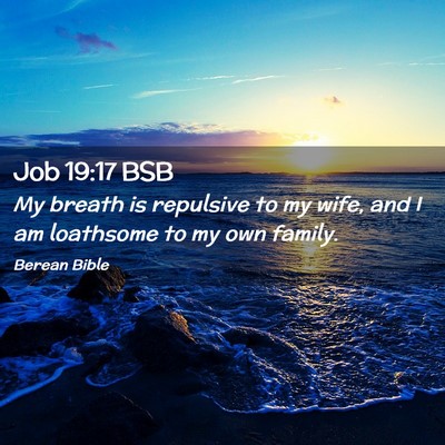 Picture 02 - Job 19:17 BSB - My breath is repulsive to my wife, and I am - Bible Verse Picture