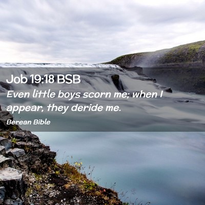 Picture 02 - Job 19:18 BSB - Even little boys scorn me; when I appear, they - Bible Verse Picture