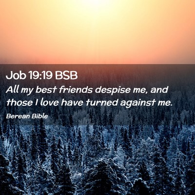 Picture 02 - Job 19:19 BSB - All my best friends despise me, and those I love - Bible Verse Picture