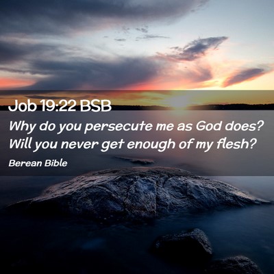 Picture 02 - Job 19:22 BSB - Why do you persecute me as God does? Will you - Bible Verse Picture