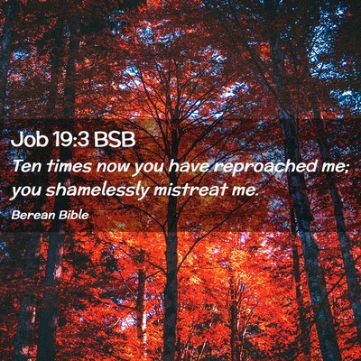 Picture 02 - Job 19:3 BSB - Ten times now you have reproached me; you - Bible Verse Picture