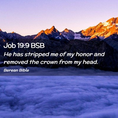 Picture 02 - Job 19:9 BSB - He has stripped me of my honor and removed the - Bible Verse Picture
