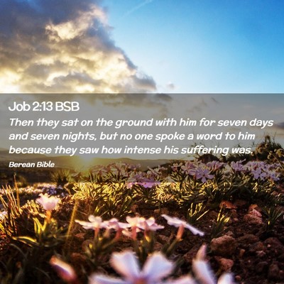 Picture 02 - Job 2:13 BSB - Then they sat on the ground with him for seven - Bible Verse Picture