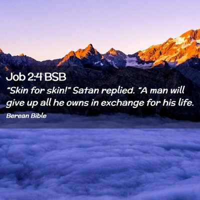 Picture 02 - Job 2:4 BSB - “Skin for skin!” Satan replied. “A man will - Bible Verse Picture
