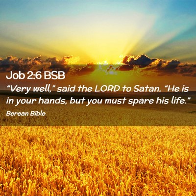 Picture 02 - Job 2:6 BSB - “Very well,” said the LORD to Satan. “He is - Bible Verse Picture