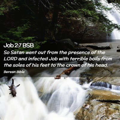 Picture 02 - Job 2:7 BSB - So Satan went out from the presence of the LORD - Bible Verse Picture