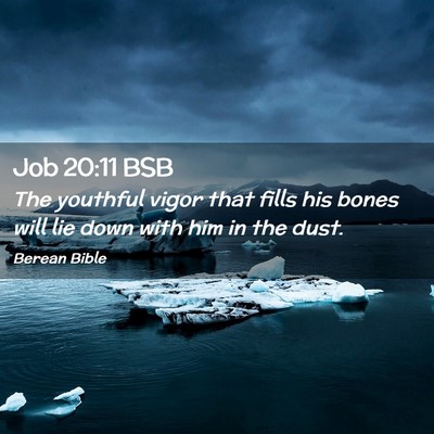 Picture 02 - Job 20:11 BSB - The youthful vigor that fills his bones will lie - Bible Verse Picture