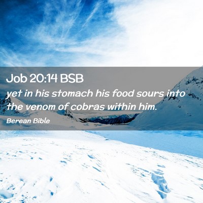 Picture 02 - Job 20:14 BSB - yet in his stomach his food sours into the venom - Bible Verse Picture