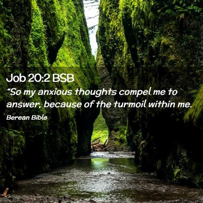 Picture 02 - Job 20:2 BSB - “So my anxious thoughts compel me to answer, - Bible Verse Picture
